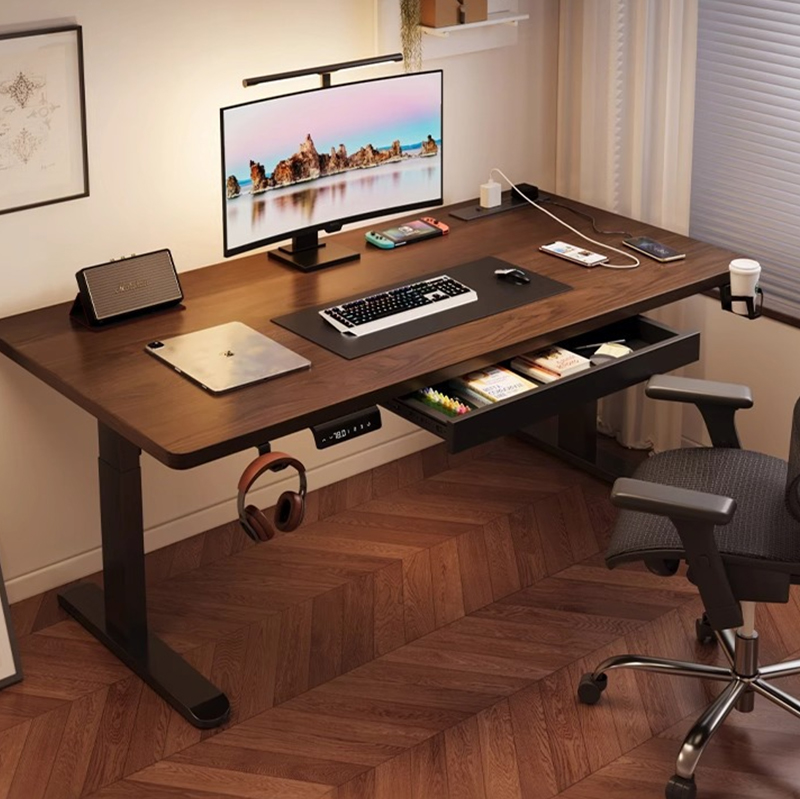 Modern Iron Dual Motor Electri - đánh giá và giá Setup Desk Monitor